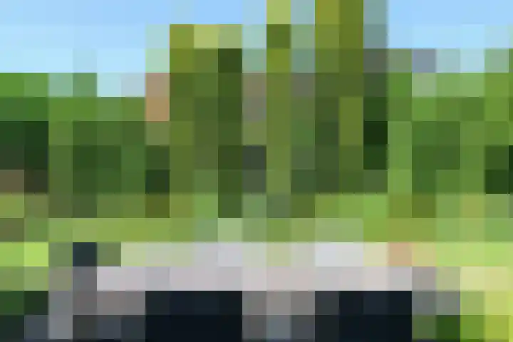 Ir. Dirk Asjesloane 9 Feanwâlden thumbnail 22