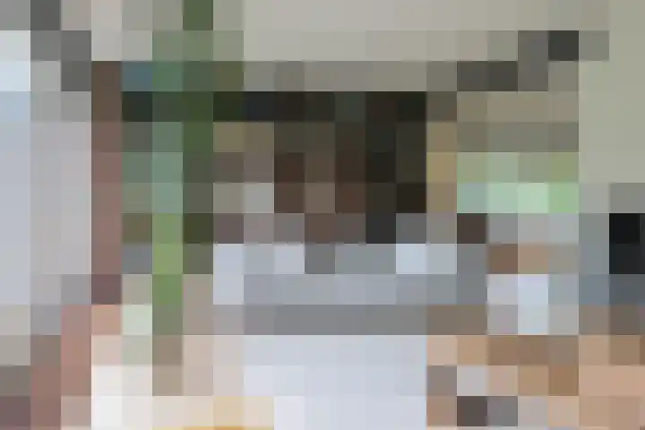 Ir. Dirk Asjesloane 9 Feanwâlden thumbnail 24