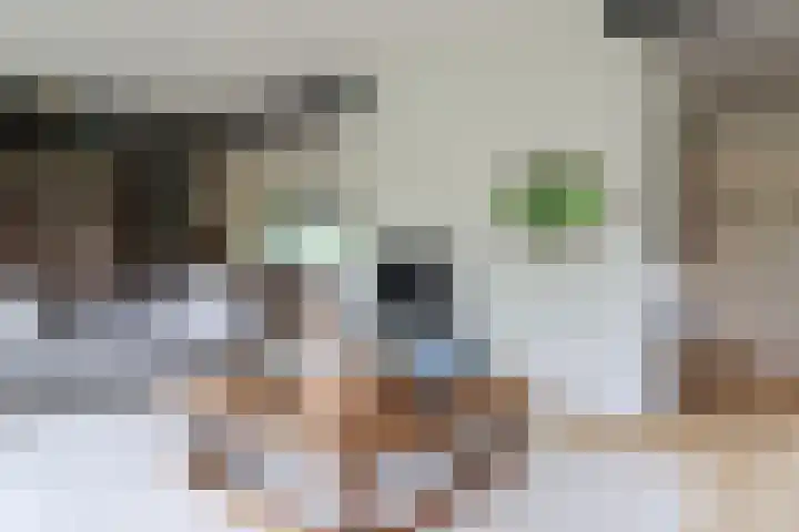 Ir. Dirk Asjesloane 9 Feanwâlden thumbnail 25