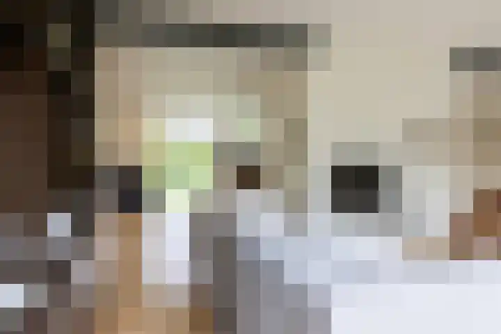 Ir. Dirk Asjesloane 9 Feanwâlden thumbnail 27