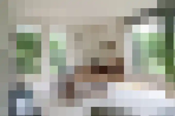 Ir. Dirk Asjesloane 9 Feanwâlden thumbnail 28