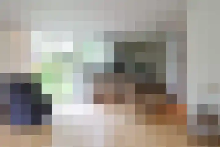 Ir. Dirk Asjesloane 9 Feanwâlden thumbnail 29