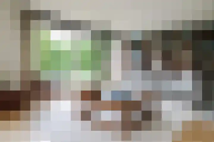 Ir. Dirk Asjesloane 9 Feanwâlden foto 3