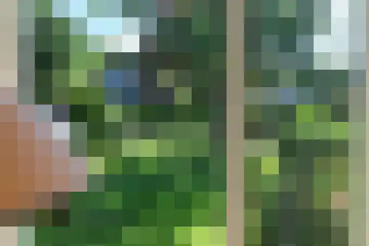 Ir. Dirk Asjesloane 9 Feanwâlden thumbnail 30