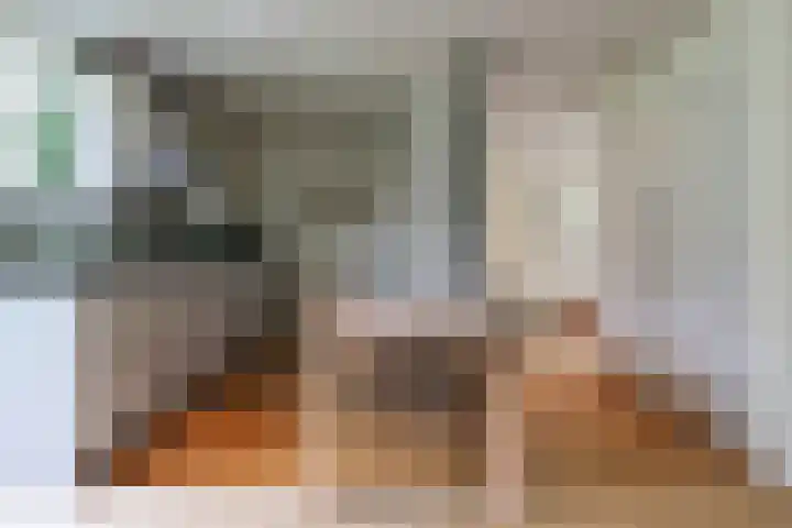 Ir. Dirk Asjesloane 9 Feanwâlden thumbnail 31