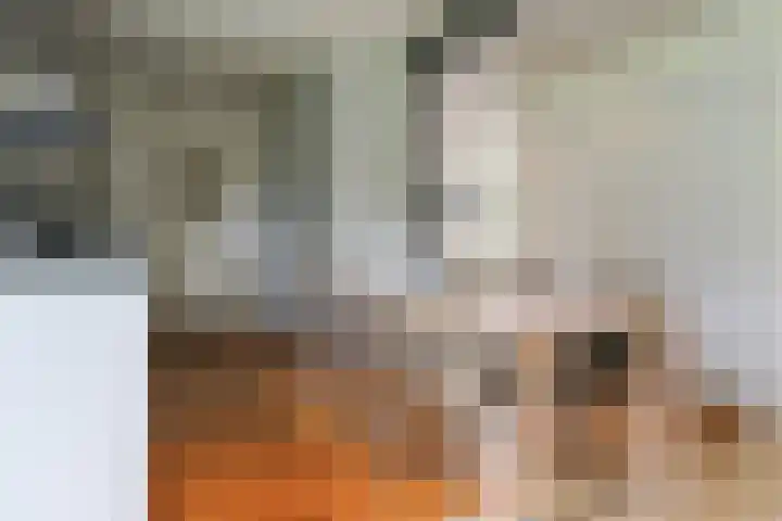 Ir. Dirk Asjesloane 9 Feanwâlden thumbnail 32