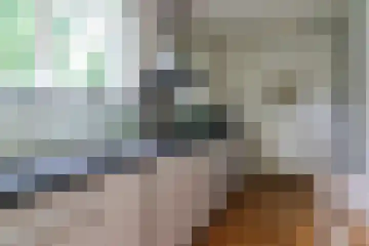 Ir. Dirk Asjesloane 9 Feanwâlden thumbnail 33