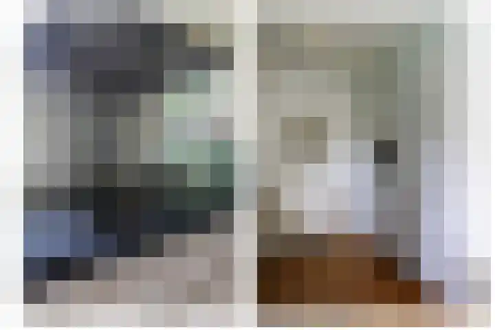 Ir. Dirk Asjesloane 9 Feanwâlden thumbnail 34