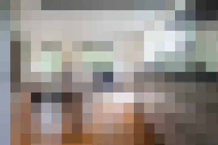 Ir. Dirk Asjesloane 9 Feanwâlden thumbnail 35