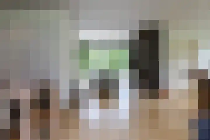 Ir. Dirk Asjesloane 9 Feanwâlden thumbnail 36