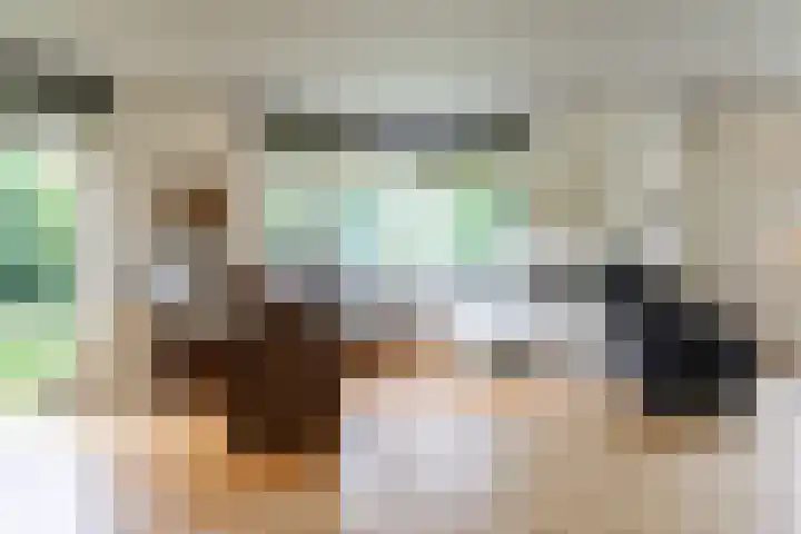 Ir. Dirk Asjesloane 9 Feanwâlden thumbnail 38