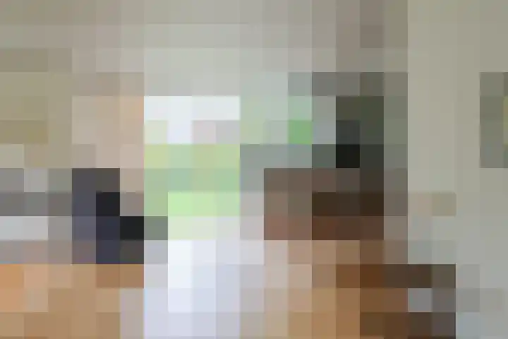 Ir. Dirk Asjesloane 9 Feanwâlden thumbnail 4