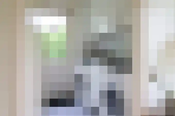 Ir. Dirk Asjesloane 9 Feanwâlden thumbnail 41