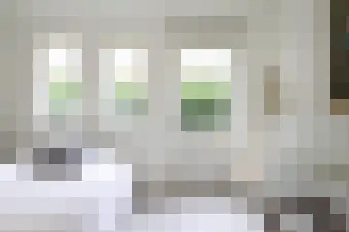 Ir. Dirk Asjesloane 9 Feanwâlden thumbnail 43