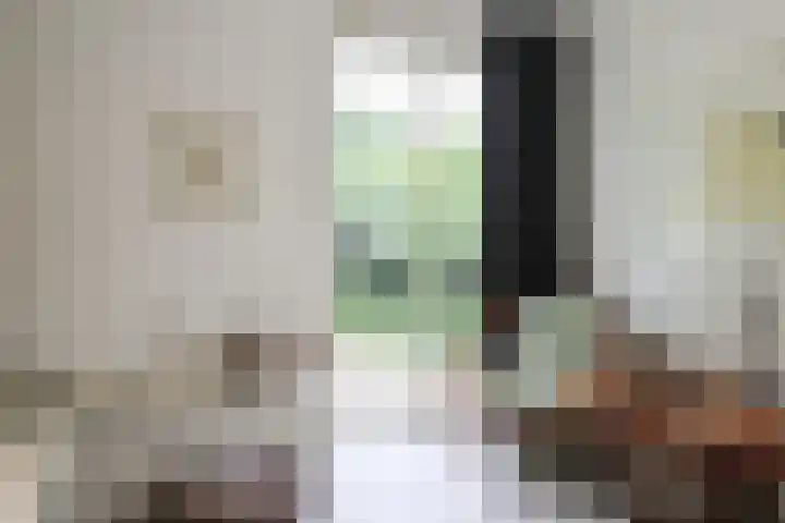 Ir. Dirk Asjesloane 9 Feanwâlden thumbnail 44