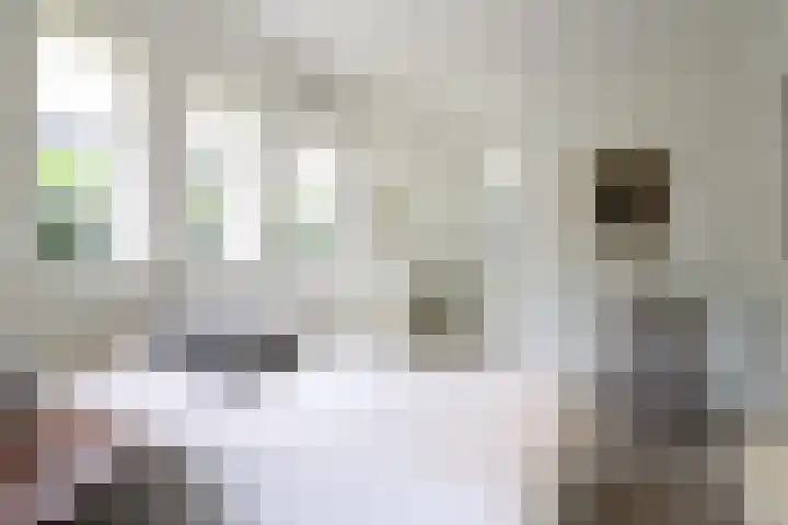Ir. Dirk Asjesloane 9 Feanwâlden thumbnail 45