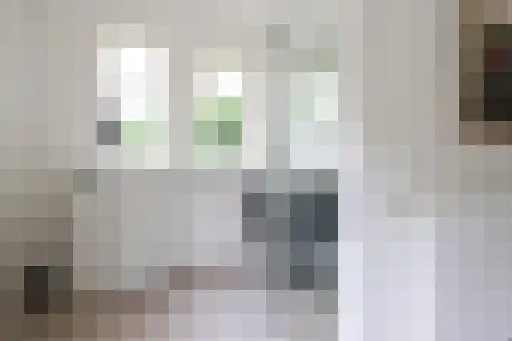 Ir. Dirk Asjesloane 9 Feanwâlden thumbnail 46