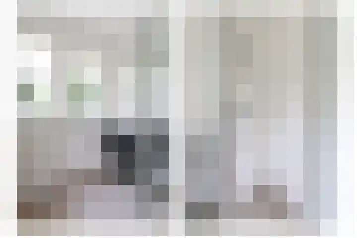 Ir. Dirk Asjesloane 9 Feanwâlden thumbnail 47