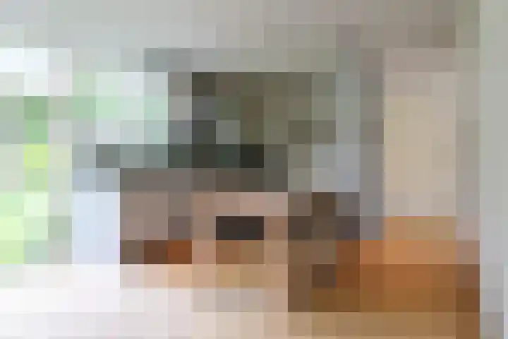 Ir. Dirk Asjesloane 9 Feanwâlden thumbnail 5