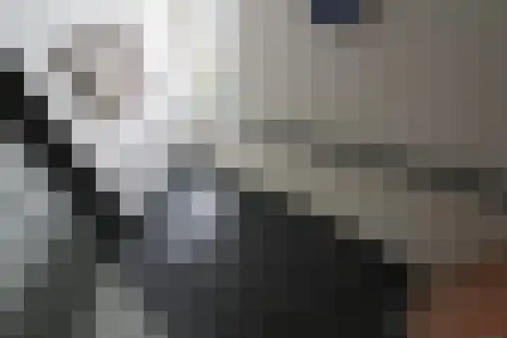 Ir. Dirk Asjesloane 9 Feanwâlden thumbnail 50