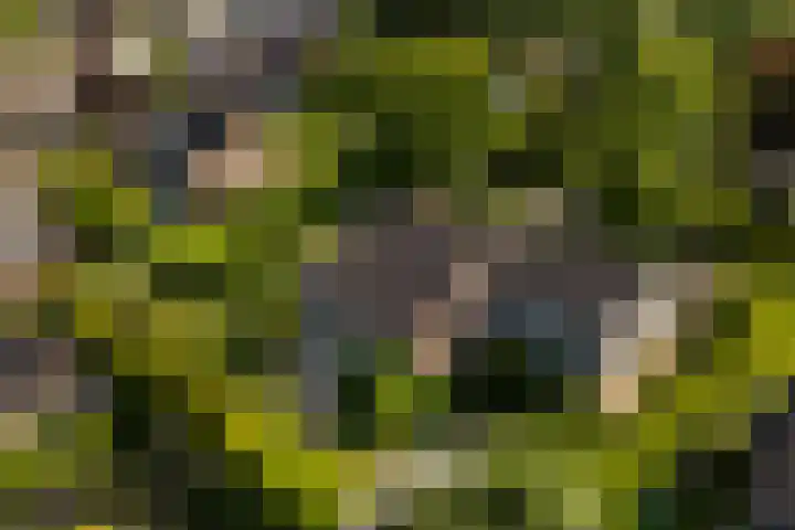 Ir. Dirk Asjesloane 9 Feanwâlden thumbnail 6
