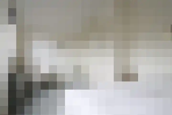 Ir. Dirk Asjesloane 9 Feanwâlden thumbnail 62