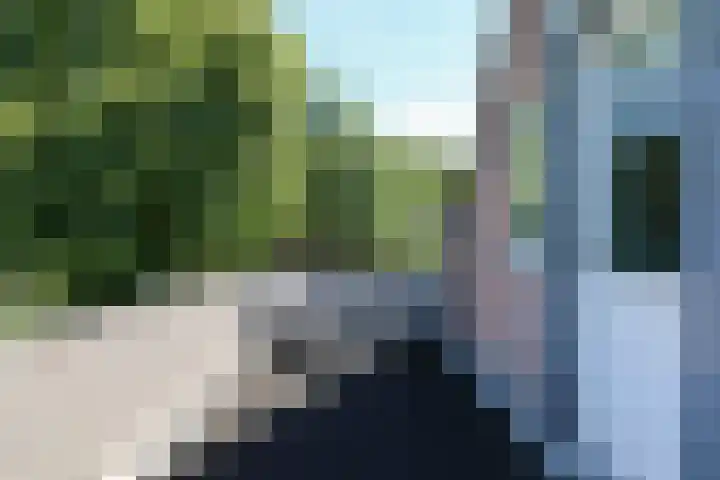 Ir. Dirk Asjesloane 9 Feanwâlden thumbnail 63