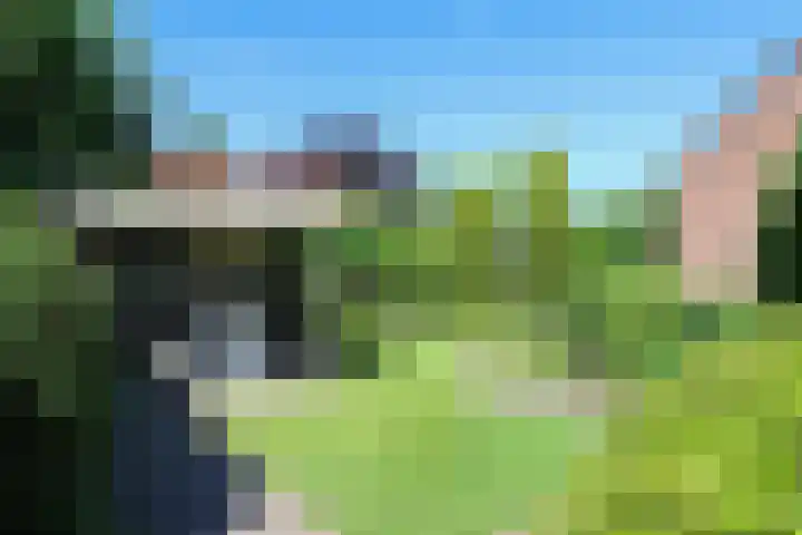 Ir. Dirk Asjesloane 9 Feanwâlden thumbnail 67
