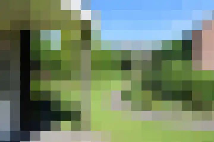 Ir. Dirk Asjesloane 9 Feanwâlden thumbnail 68