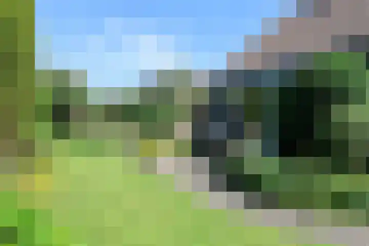 Ir. Dirk Asjesloane 9 Feanwâlden thumbnail 71