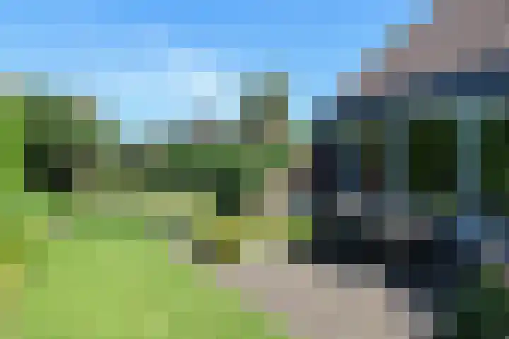 Ir. Dirk Asjesloane 9 Feanwâlden thumbnail 72