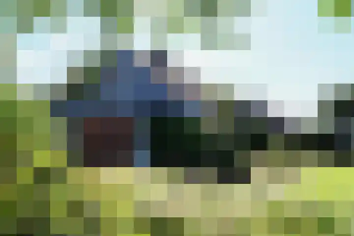 Ir. Dirk Asjesloane 9 Feanwâlden thumbnail 73