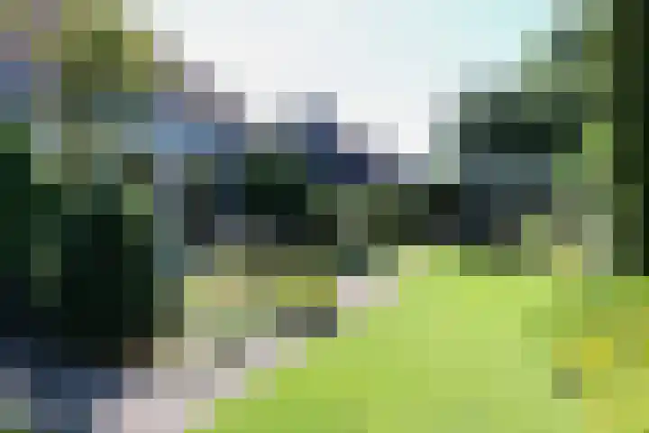 Ir. Dirk Asjesloane 9 Feanwâlden thumbnail 74