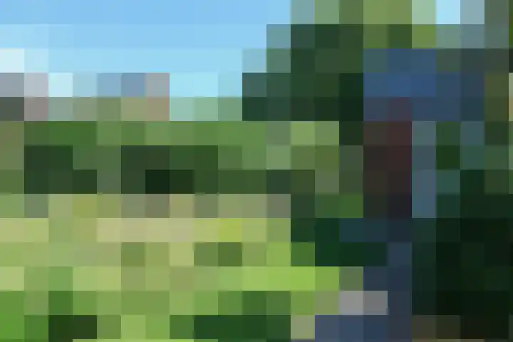 Ir. Dirk Asjesloane 9 Feanwâlden thumbnail 75