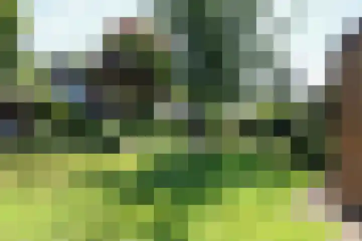 Ir. Dirk Asjesloane 9 Feanwâlden thumbnail 76
