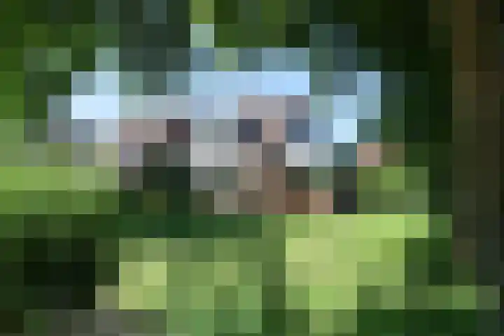 Ir. Dirk Asjesloane 9 Feanwâlden thumbnail 77