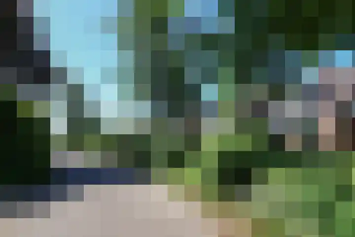 Ir. Dirk Asjesloane 9 Feanwâlden thumbnail 78