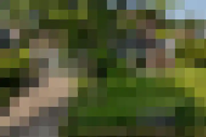 Ir. Dirk Asjesloane 9 Feanwâlden thumbnail 79