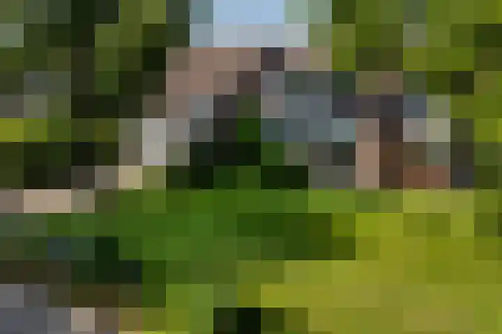 Ir. Dirk Asjesloane 9 Feanwâlden thumbnail 80