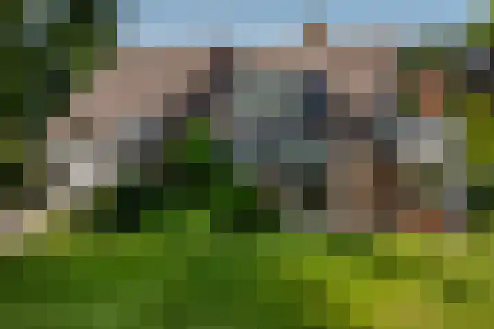 Ir. Dirk Asjesloane 9 Feanwâlden thumbnail 81