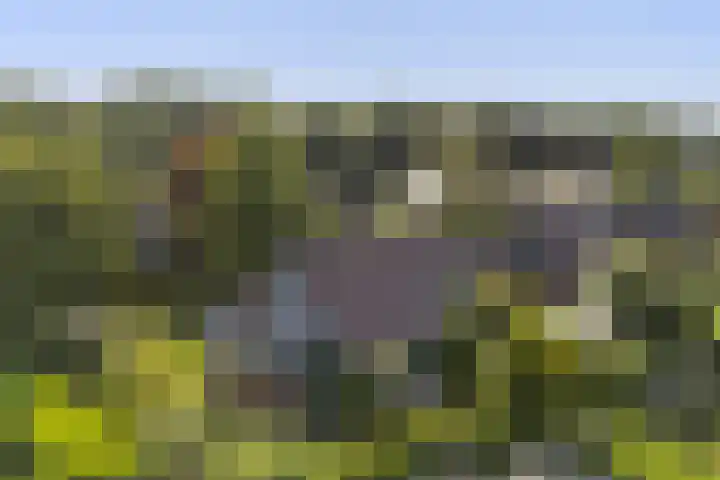 Ir. Dirk Asjesloane 9 Feanwâlden thumbnail 82