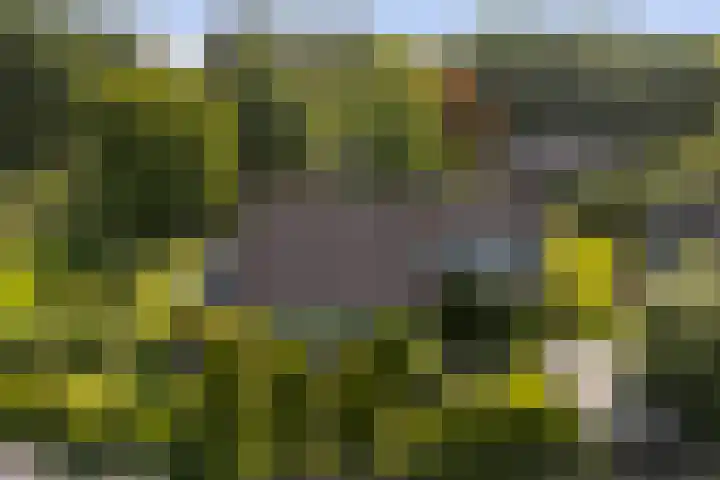 Ir. Dirk Asjesloane 9 Feanwâlden thumbnail 83