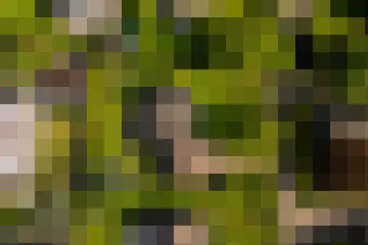Ir. Dirk Asjesloane 9 Feanwâlden thumbnail 84