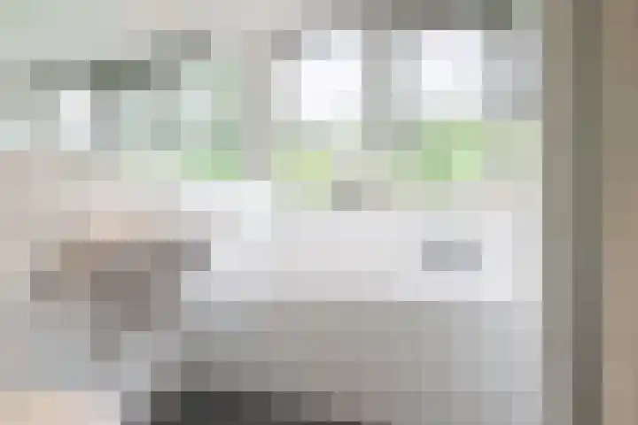 Ir. Dirk Asjesloane 9 Feanwâlden thumbnail 9