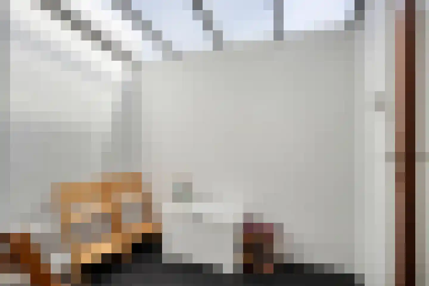Ir. Driessenstraat 102 Leiden thumbnail 13