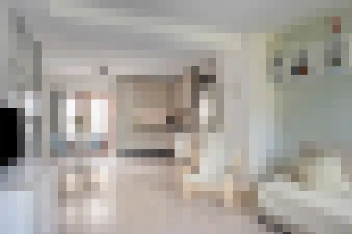 Ir. Driessenstraat 102 Leiden thumbnail 9