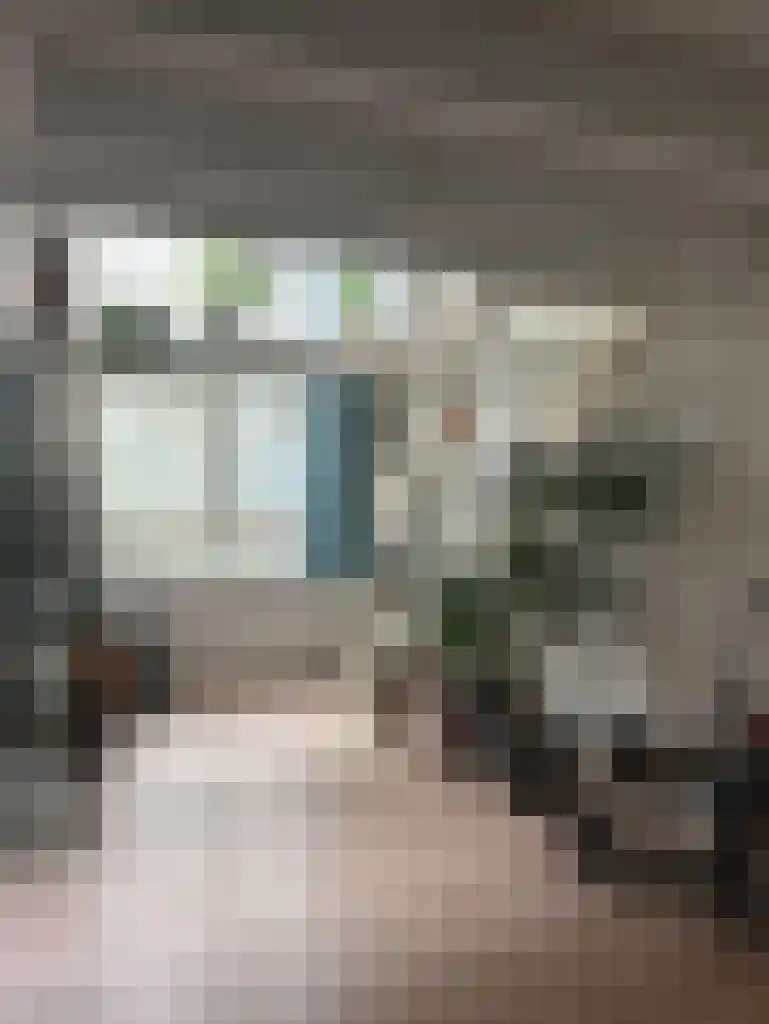 Ir. Driessenstraat 3 Leiden thumbnail 5