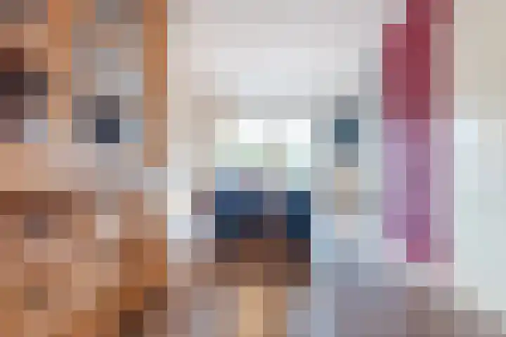 Ir. E. Biewingaweg 6 Witteveen thumbnail 12