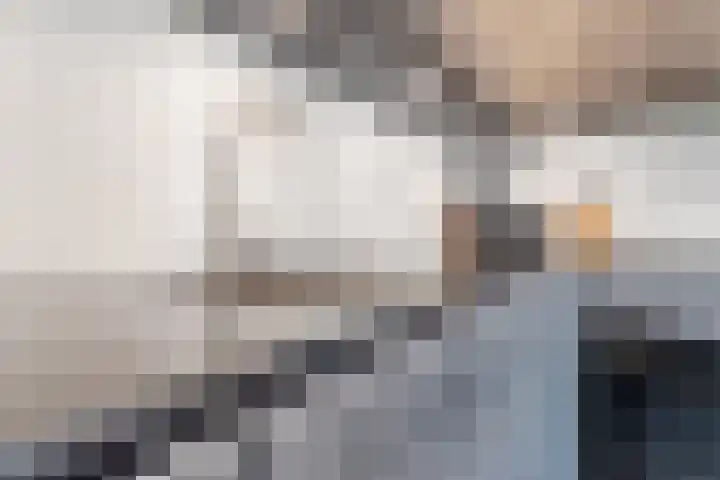 Ir. E. Biewingaweg 6 Witteveen thumbnail 18