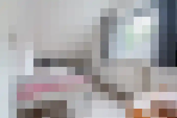 Ir. E. Biewingaweg 6 Witteveen thumbnail 24